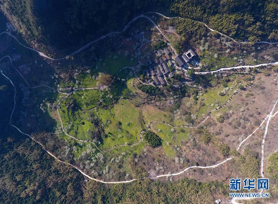 金银花露小说笔趣阁(高H 1V1)